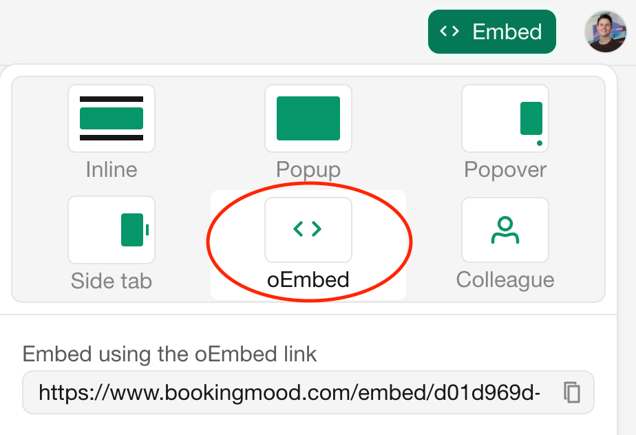 oEmbed embed type selection in Bookingmood