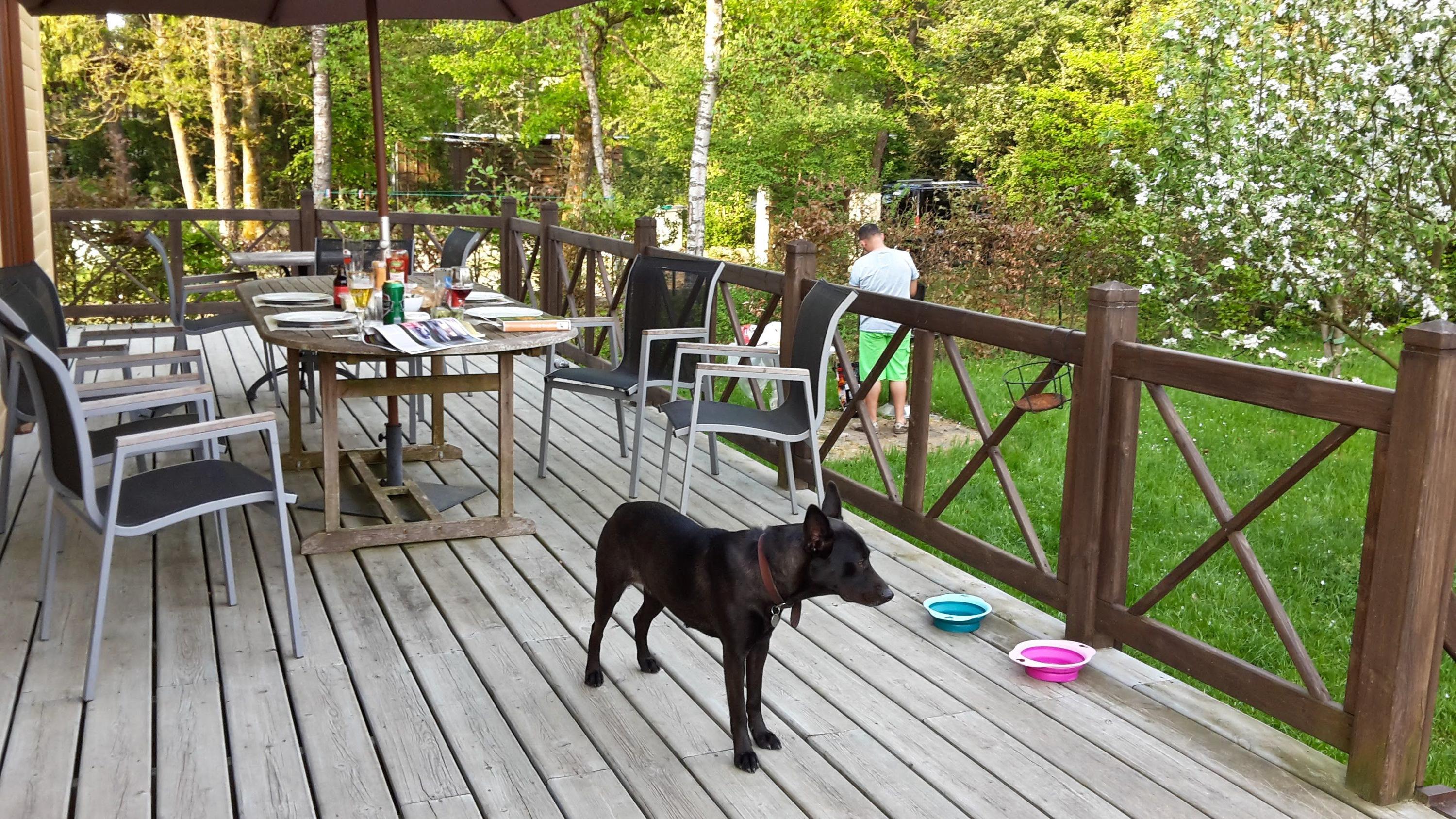 Terras