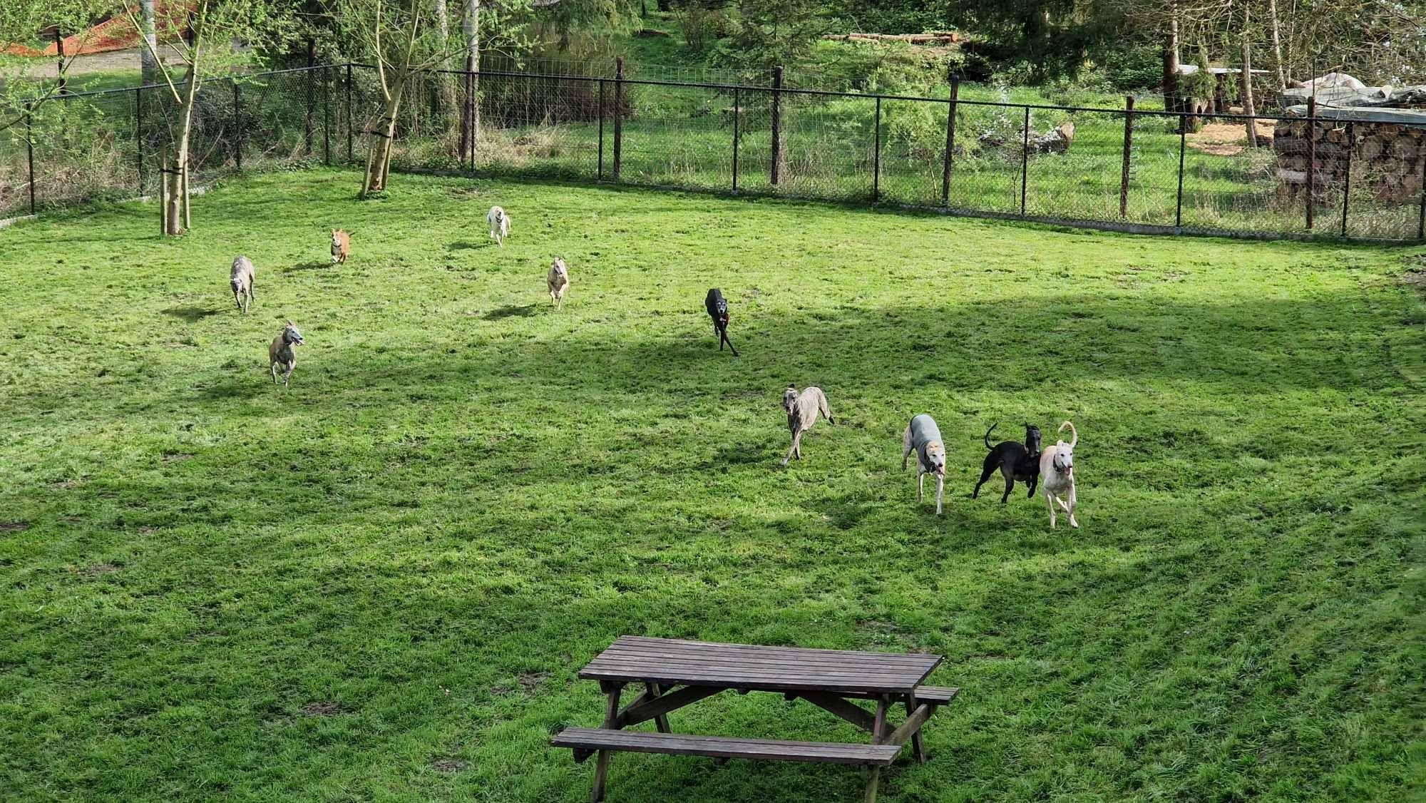 Omheinde tuin