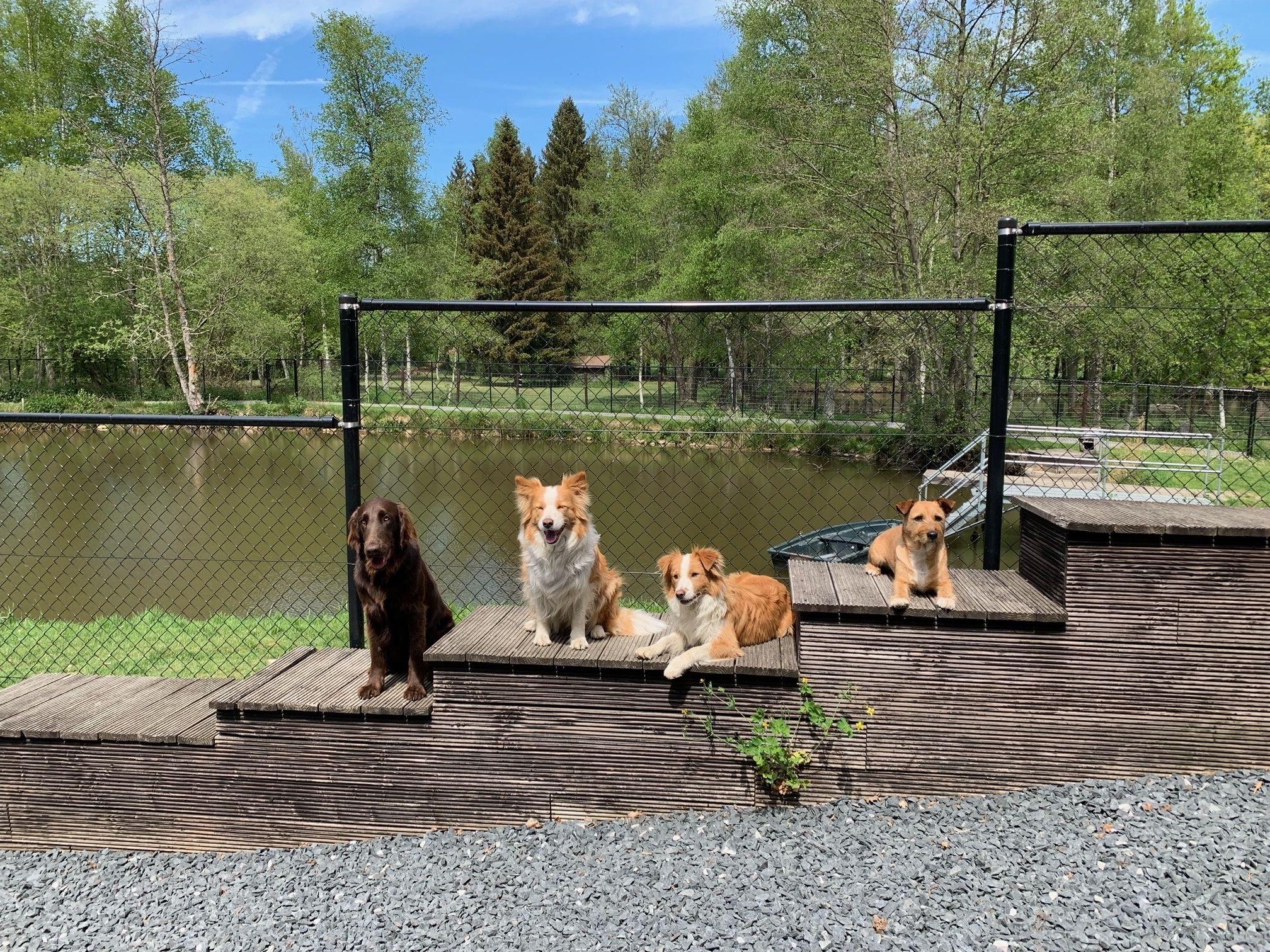Omheinde tuin