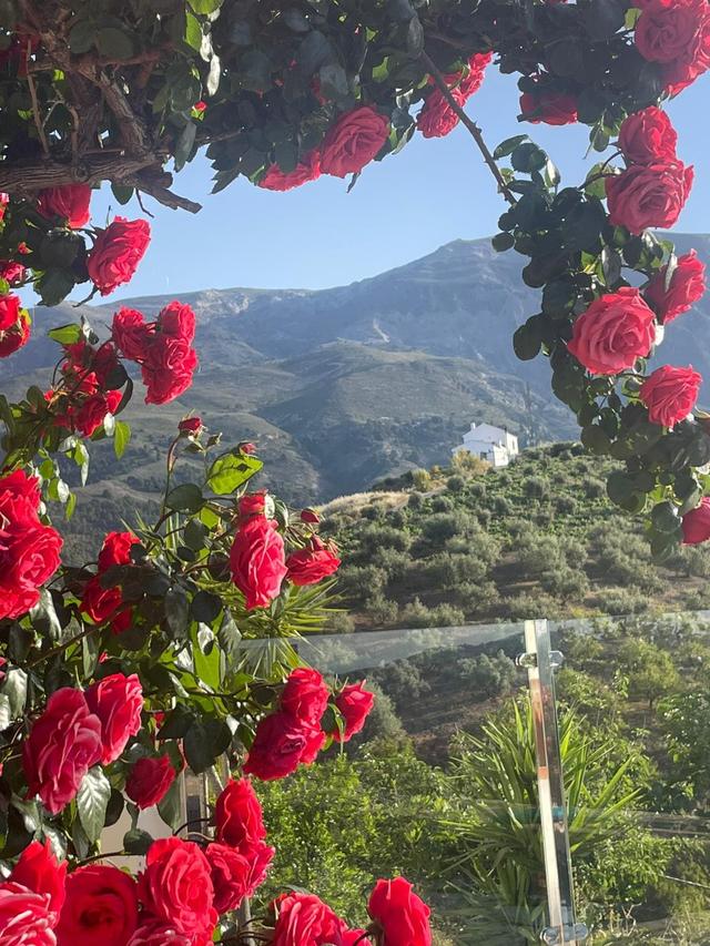 Uitzicht vanaf terras