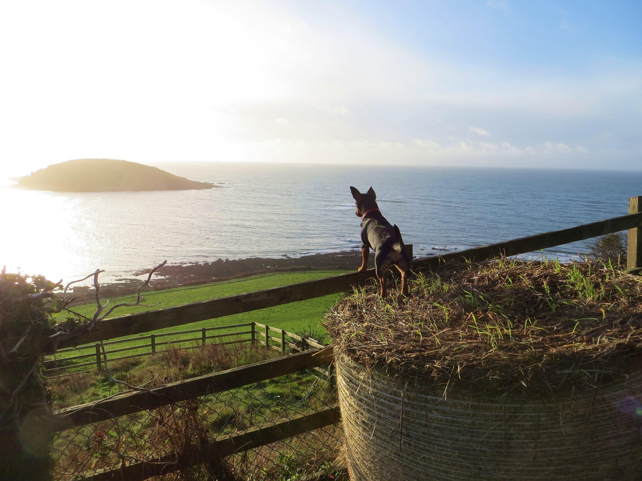 Start of the coastal path at Hannafore