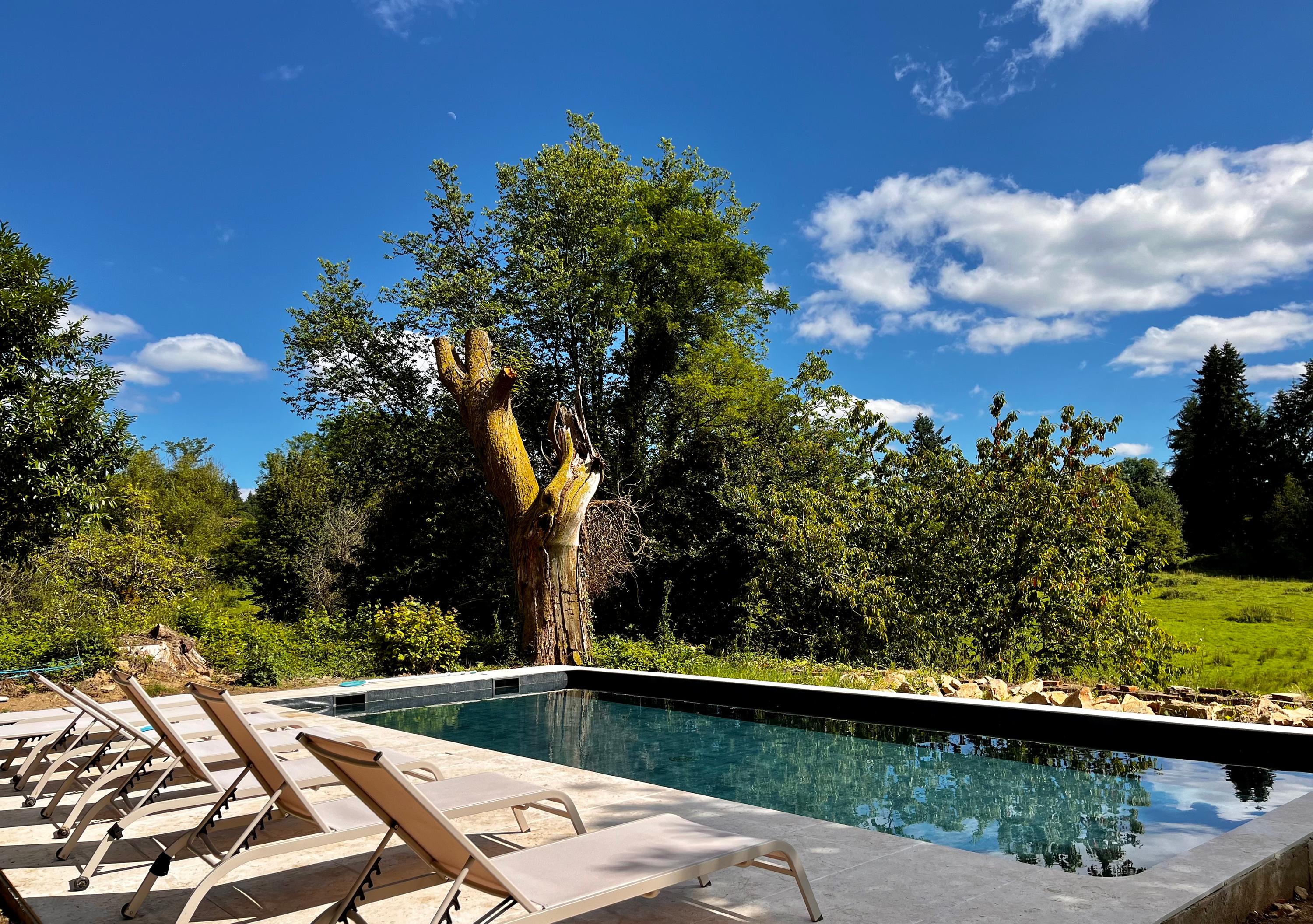 The pool