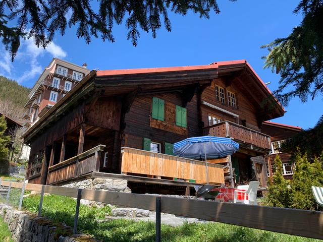 Chalet Petschenhaus Mürren