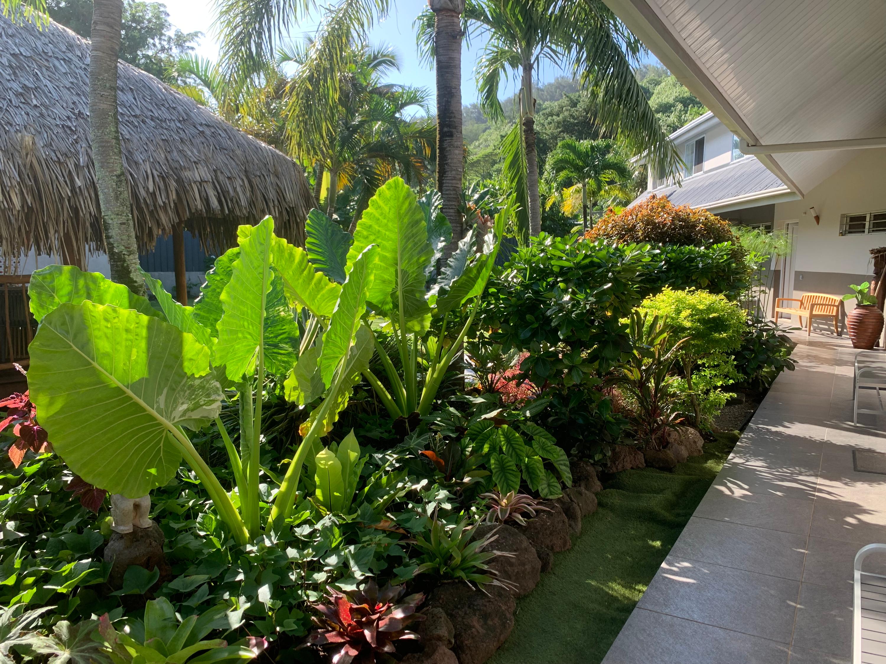 garden