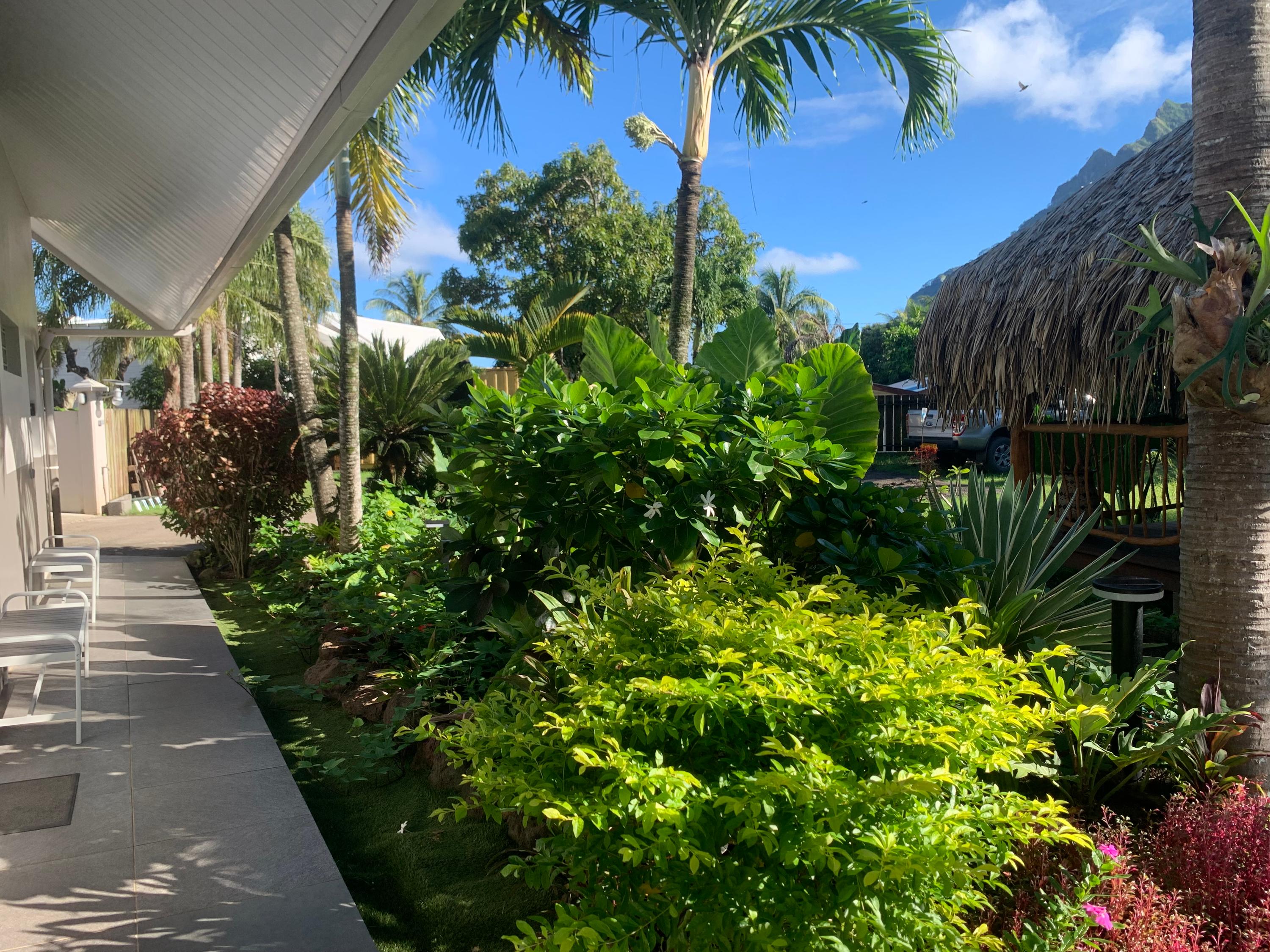 garden