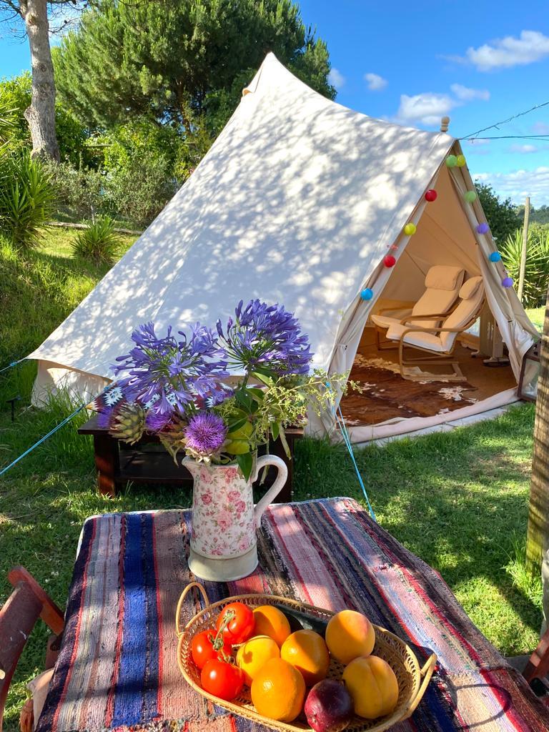 Dressed table with fruits and lotus glamping tent in the back