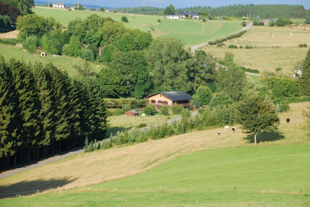 Dichte bosrijke omgeving van Het Vizsla Huisje