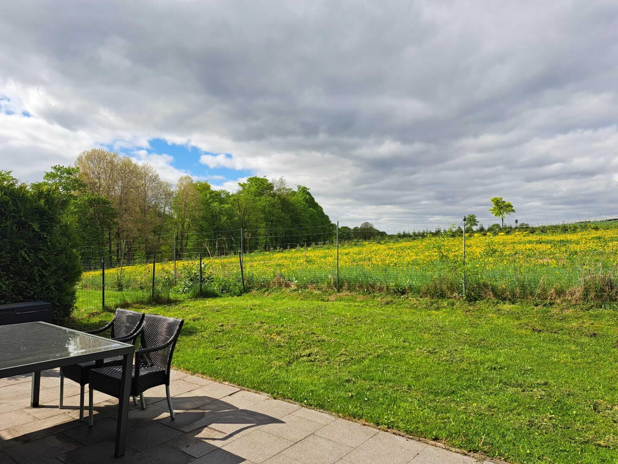 Uitzicht vanuit tuin