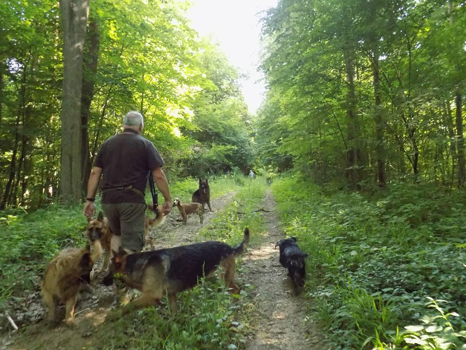 Prachtige wandelingen in de buurt