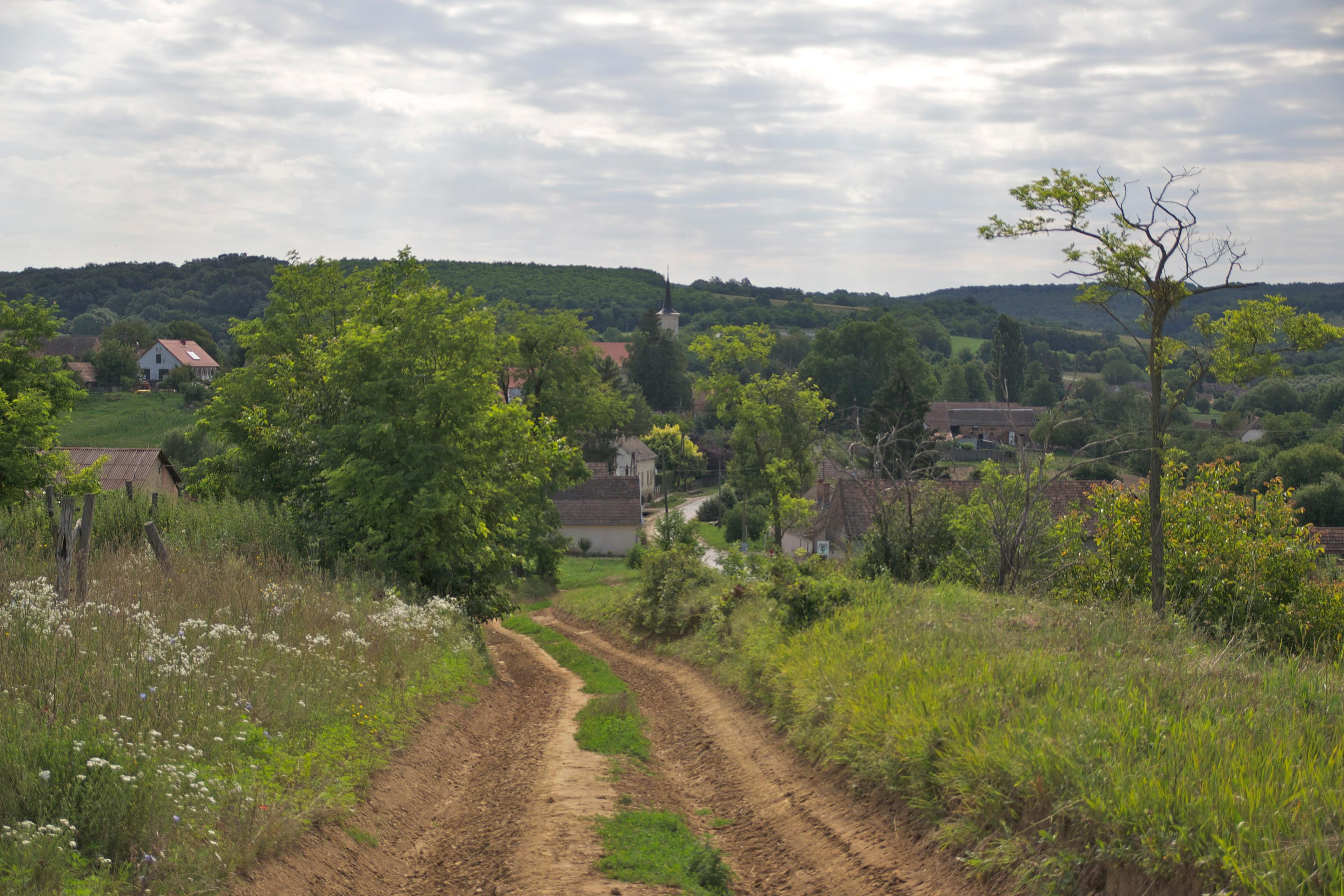 Omgeving