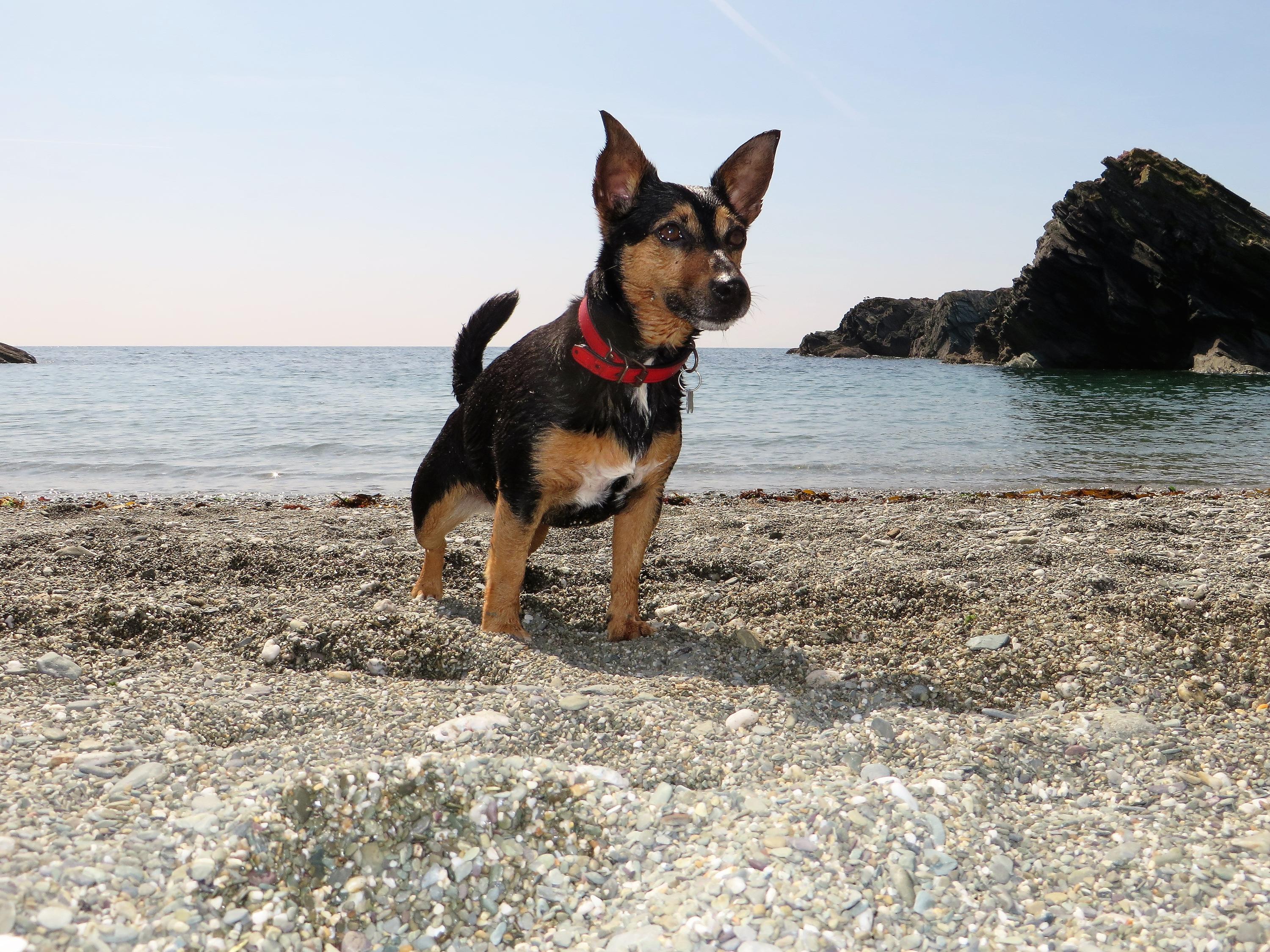 Lansallos Beach