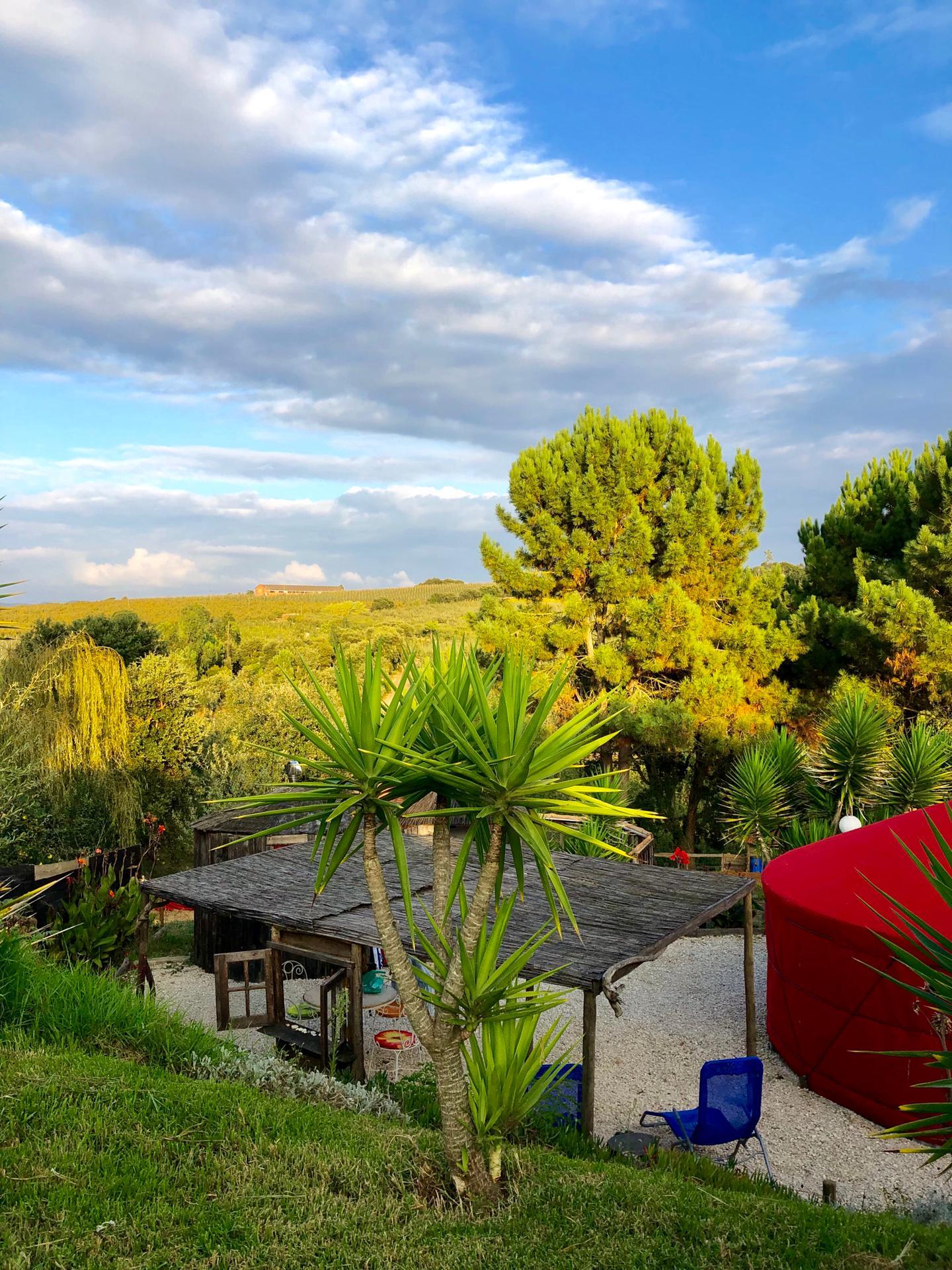 Lounge area and red mongolian yurt tent located in lush green nature scene