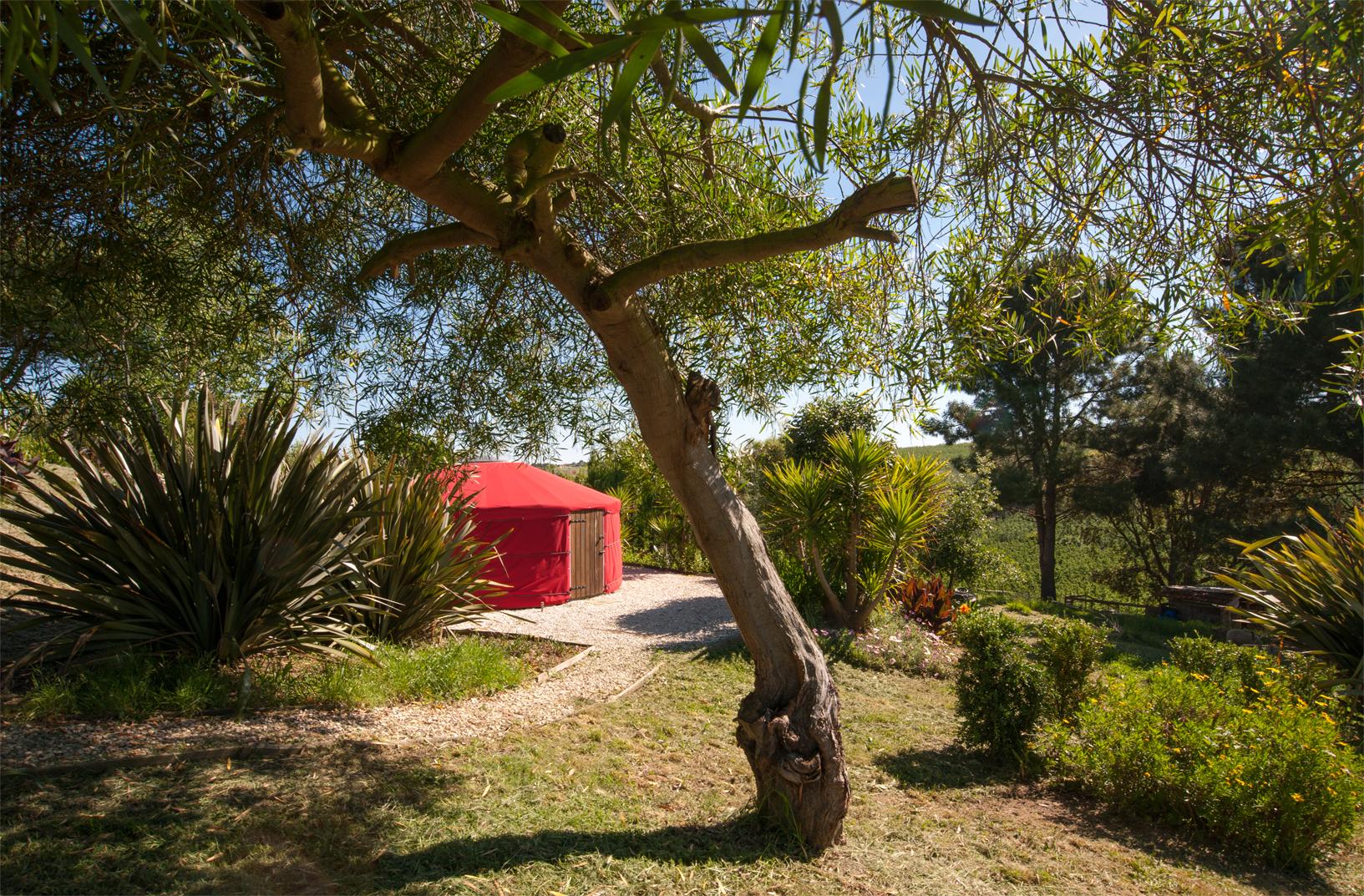 Red mongolian yurt tent located in a lush green nature scene