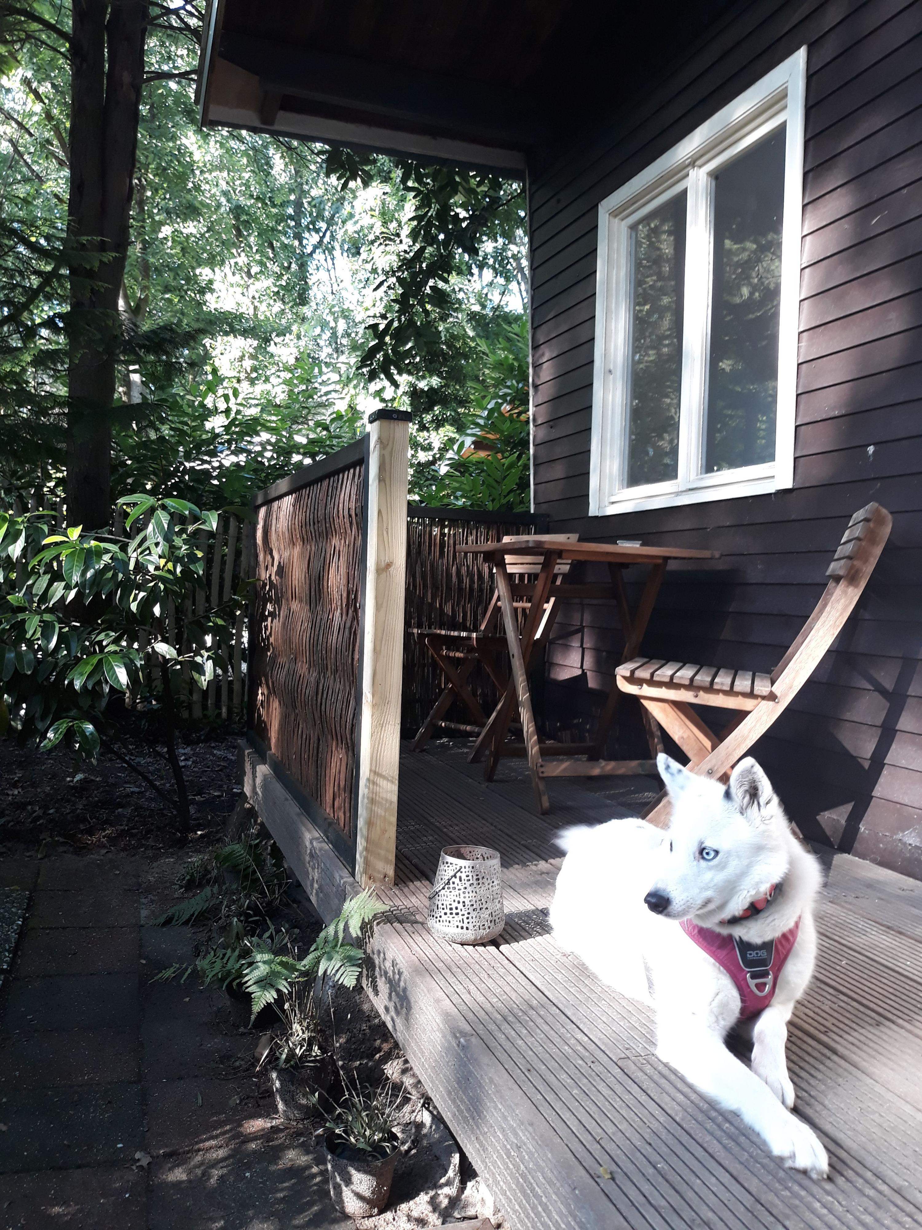 Terras