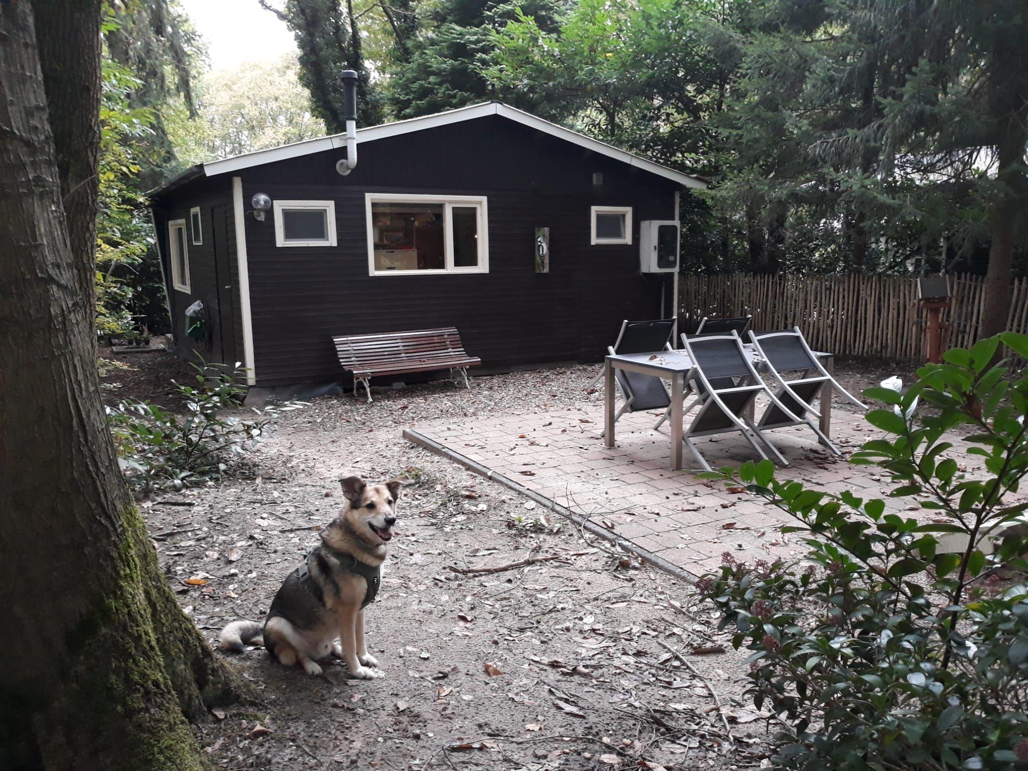 Het Flatcoated Huisje