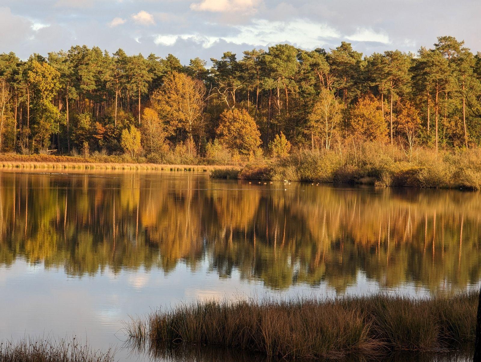 Dichtbij het huisje bevindt zich natuurgebied zwart water