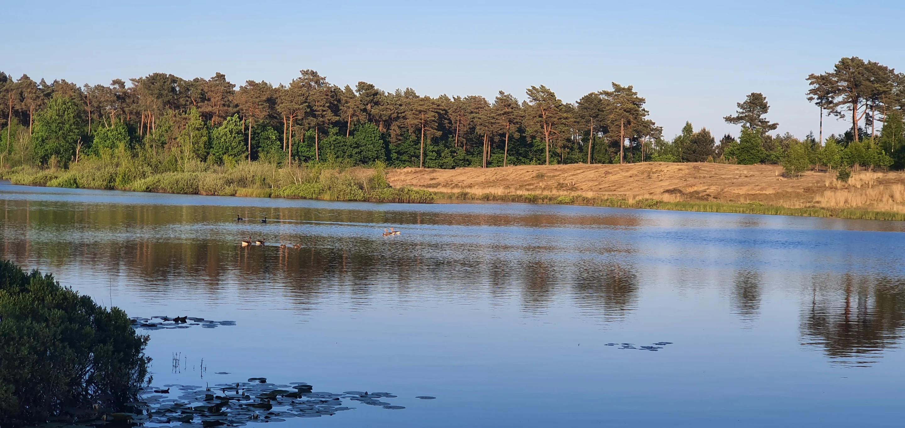 Natuurgebied zwart water
