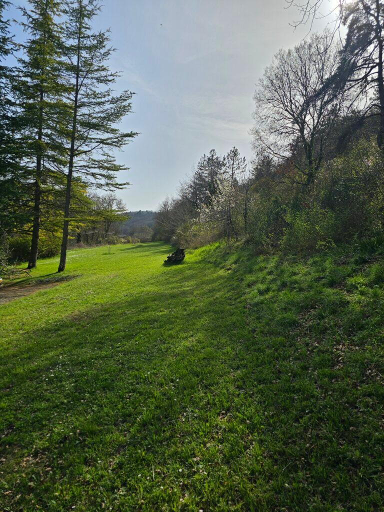 Omheinde tuin van 2.500 m²