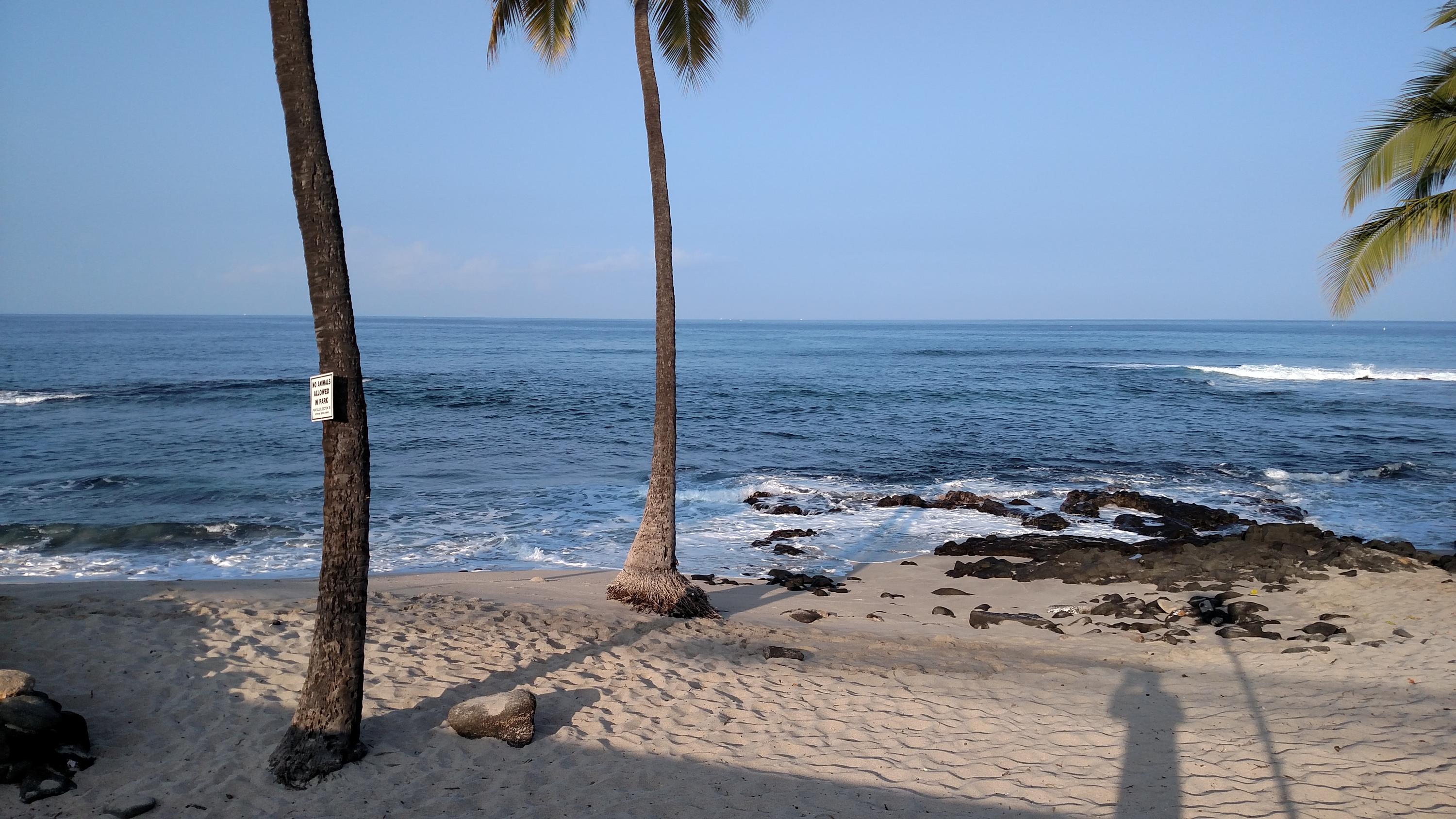 Honl's Beach Next to Condo