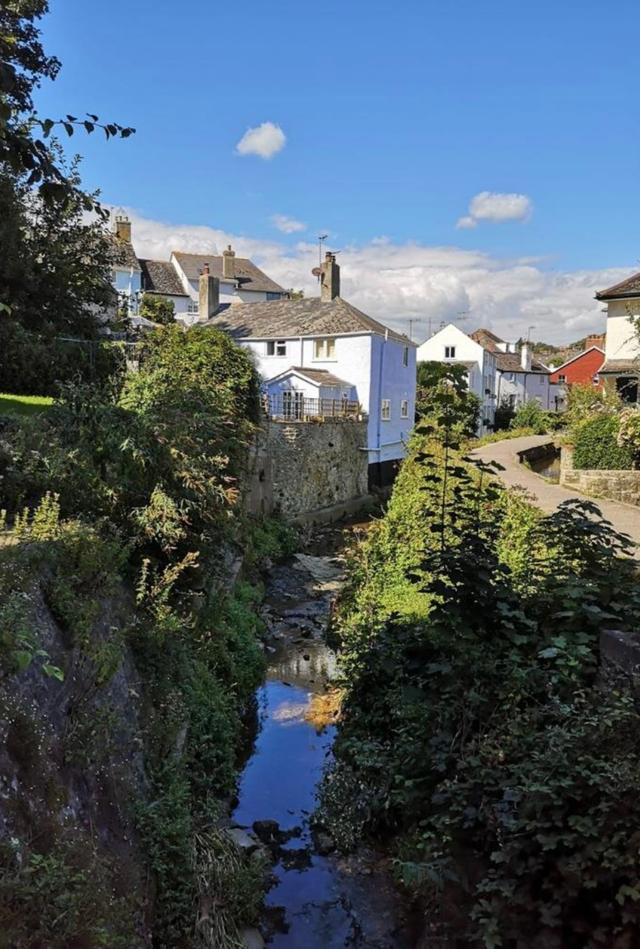 The River Lym view of it flowing past alongside Lynch View Cottage and courtyard garden in central Lyme Regis 