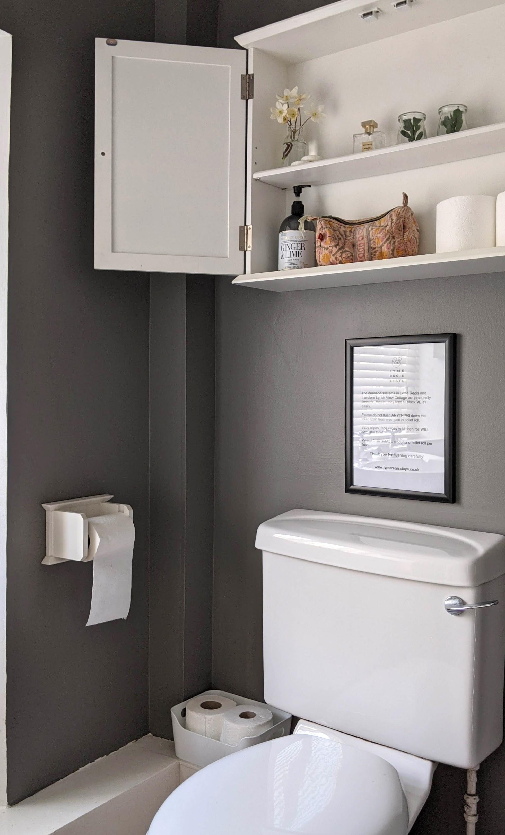 toilet and shower room at Lynch View Cottage over looking the river Lym 