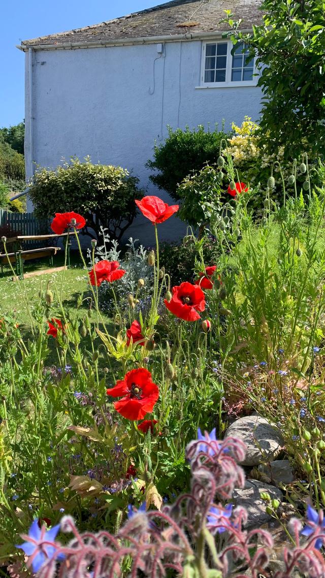 Wild flowers & flower beds grow in the large garden make this holiday home in central Lyme Regis a memorable family or friends getaway.   