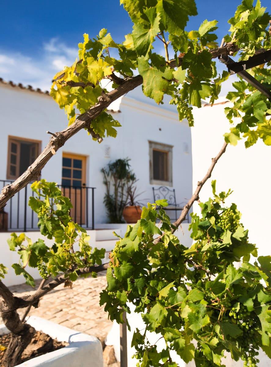 Casa Generosa