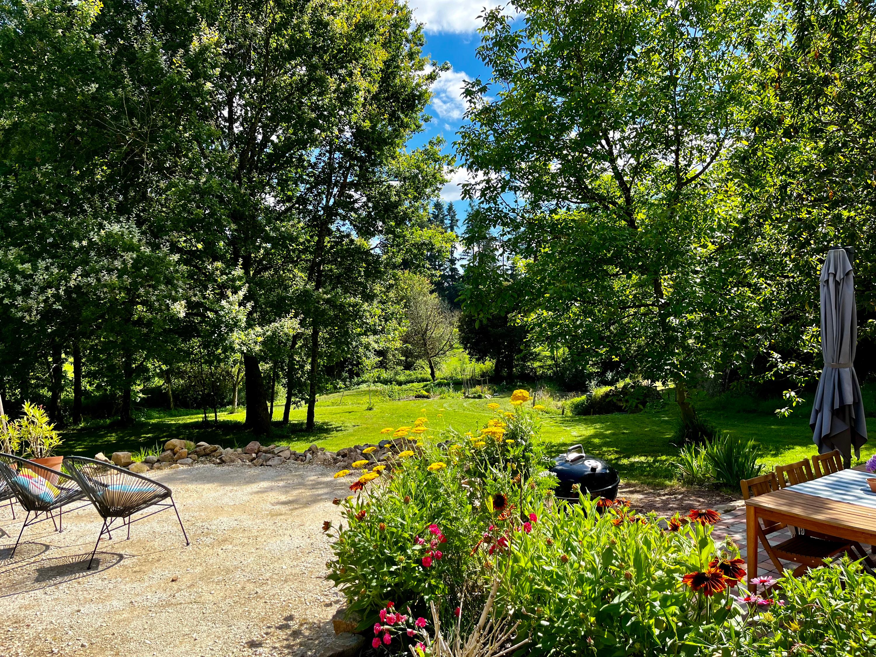 The backyard