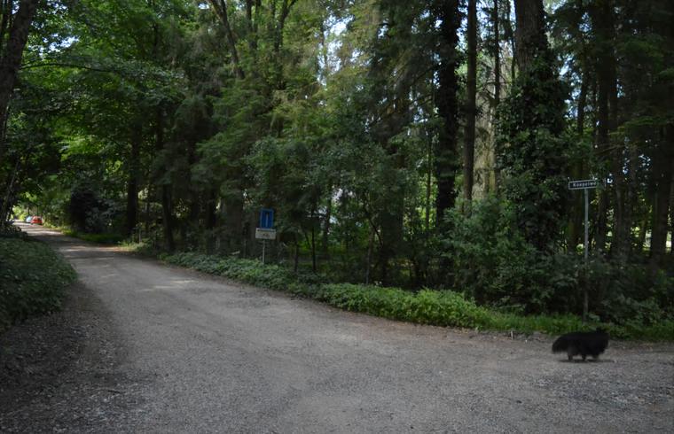 Wandelgebied in de buurt