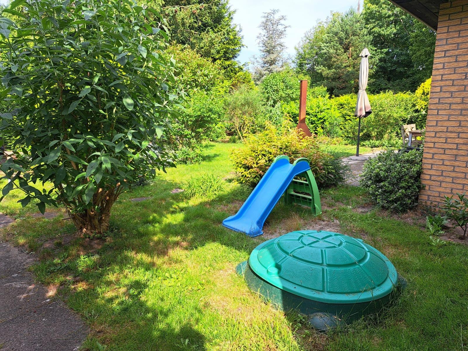 Hond-en kindvriendelijke tuin
