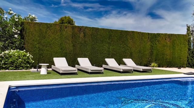Poolside lounge chairs