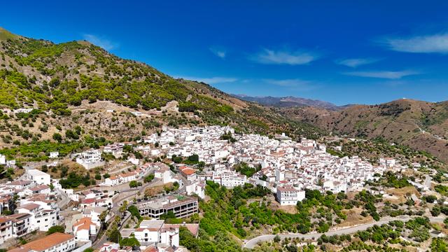 Canillas De Aceituni