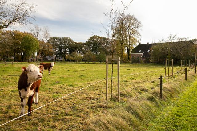 de lindenhoeve aanzicht