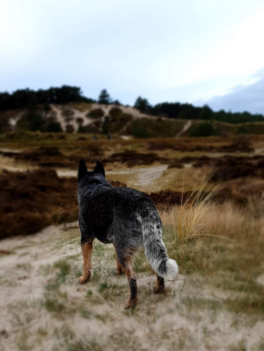 Sfeerbeelden
