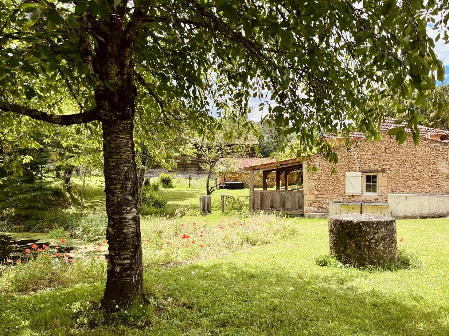 Grote omheinde tuin