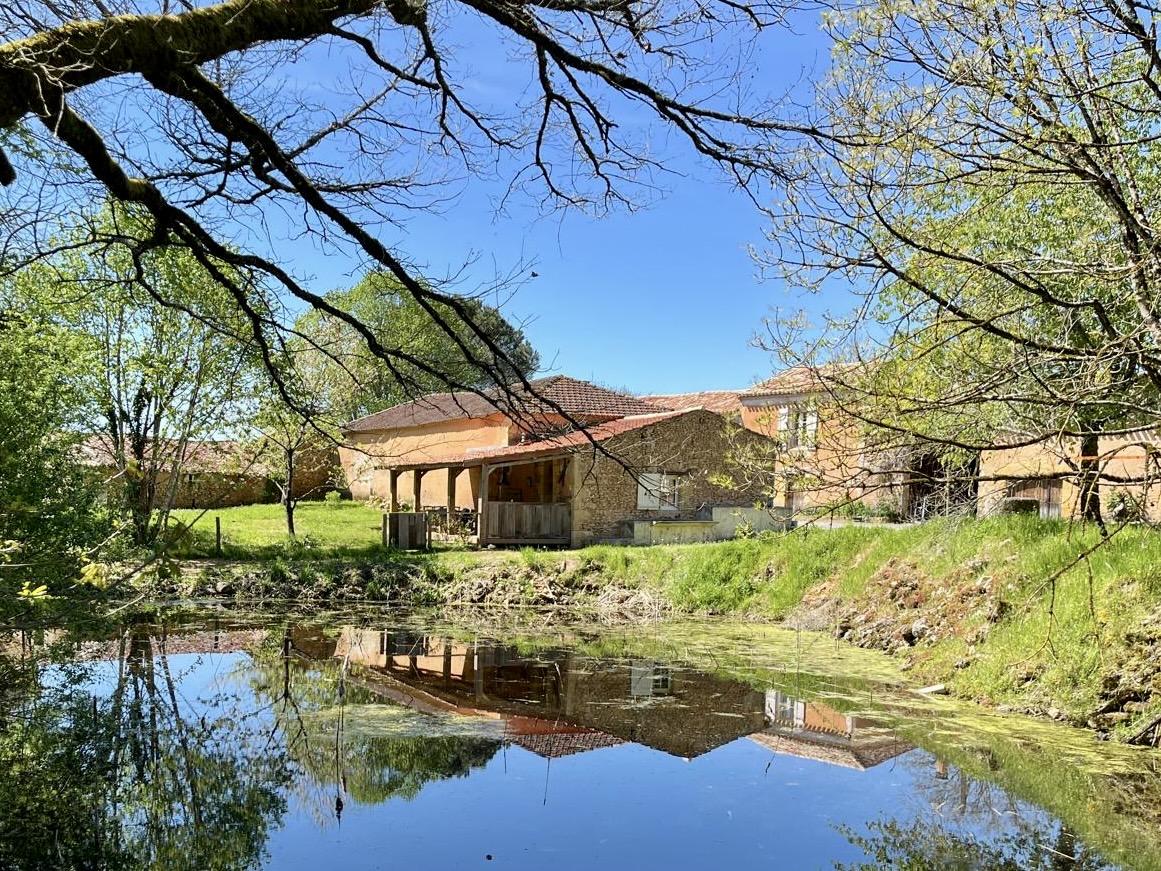 Grote omheinde tuin met vijver en uitzicht op het bos