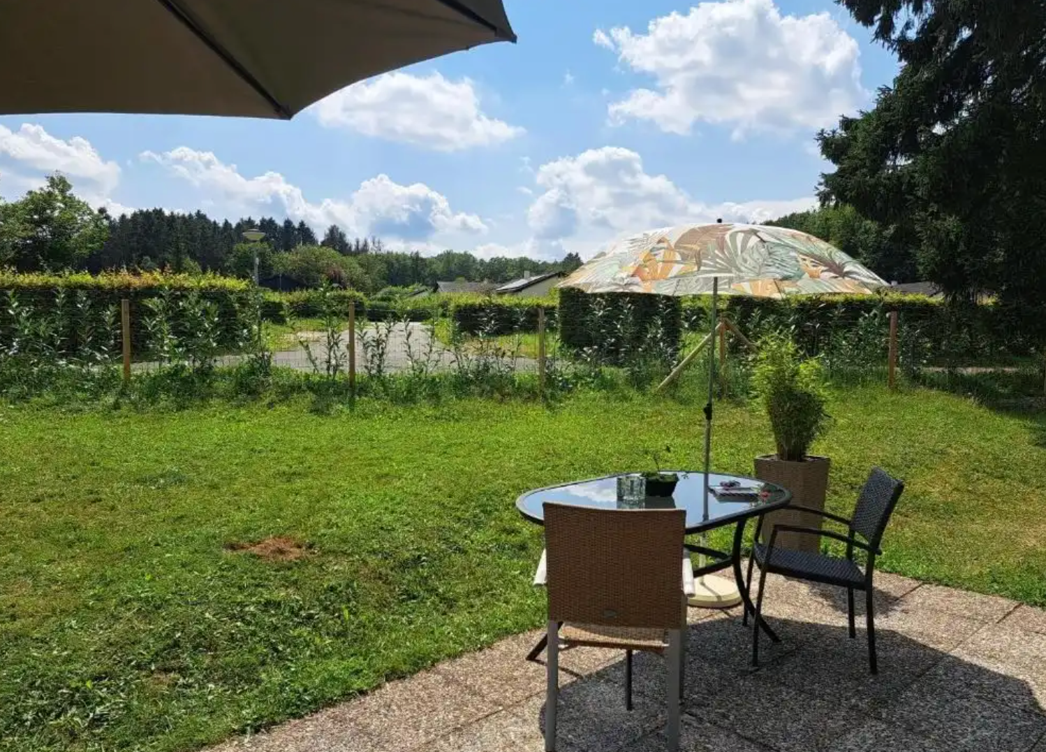 De tuin met volledige omheining en terras