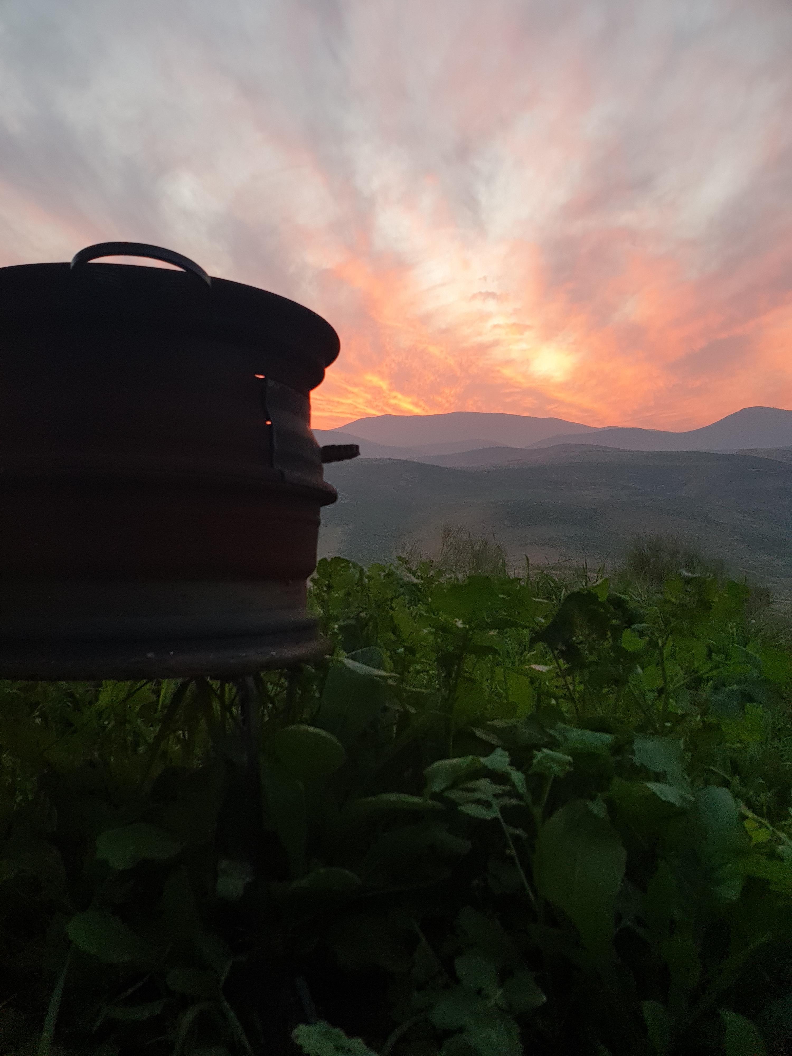 מתקן למדורה