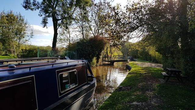 Acorn out adventuring