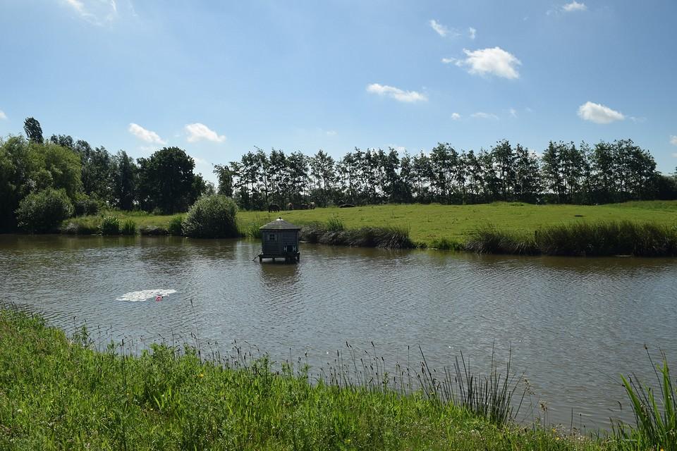 Omgeving Het Dalmatiër huisje 