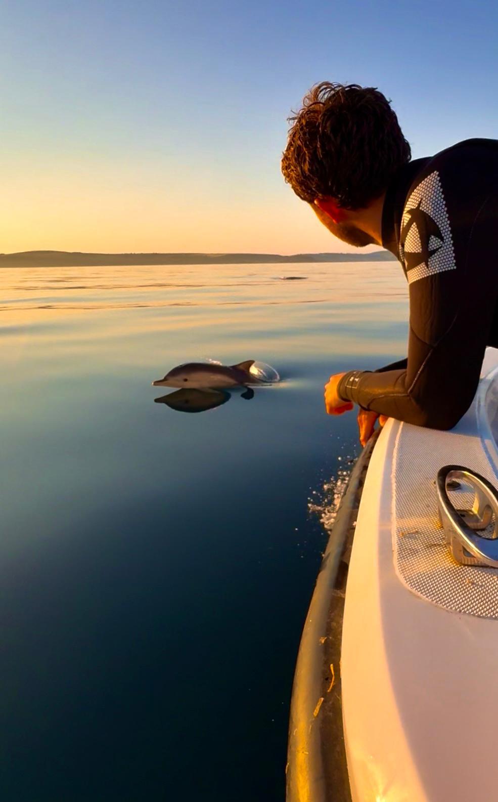 Baby dolphin boat trip
