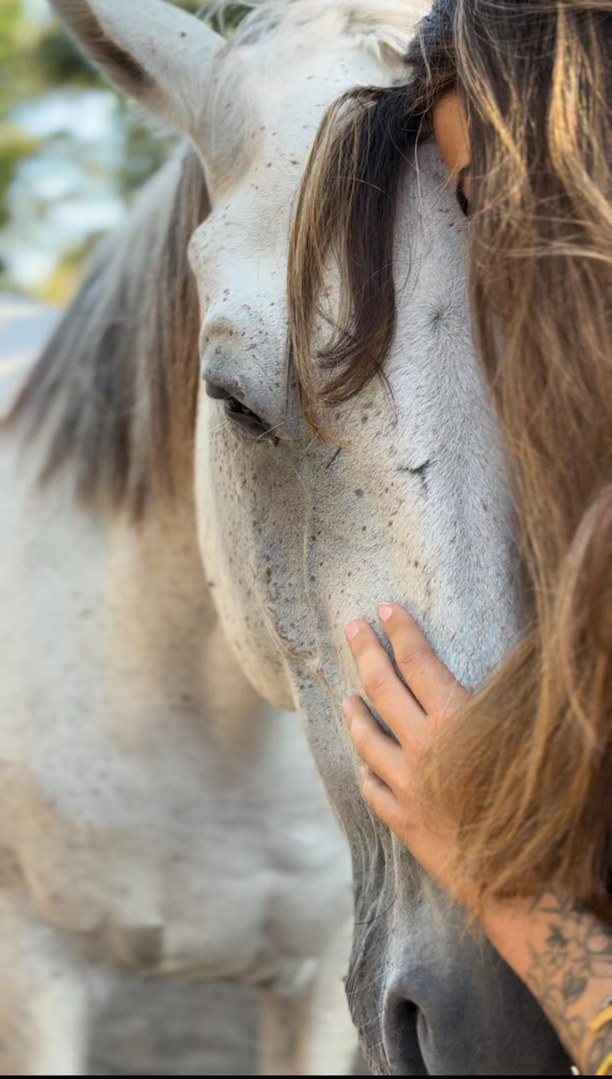 Séjour Libération - Individuel