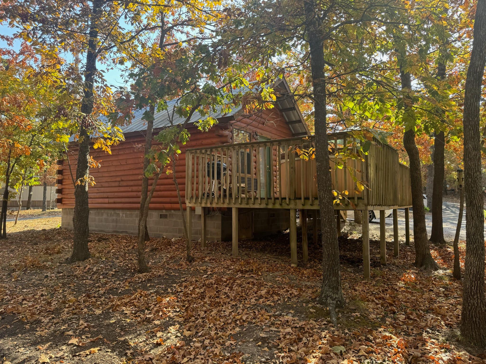 Cabin 6 - Fly Away