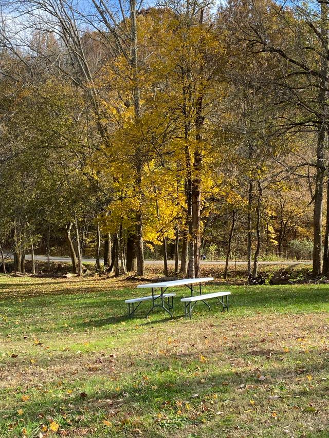 Autumn picnic spot