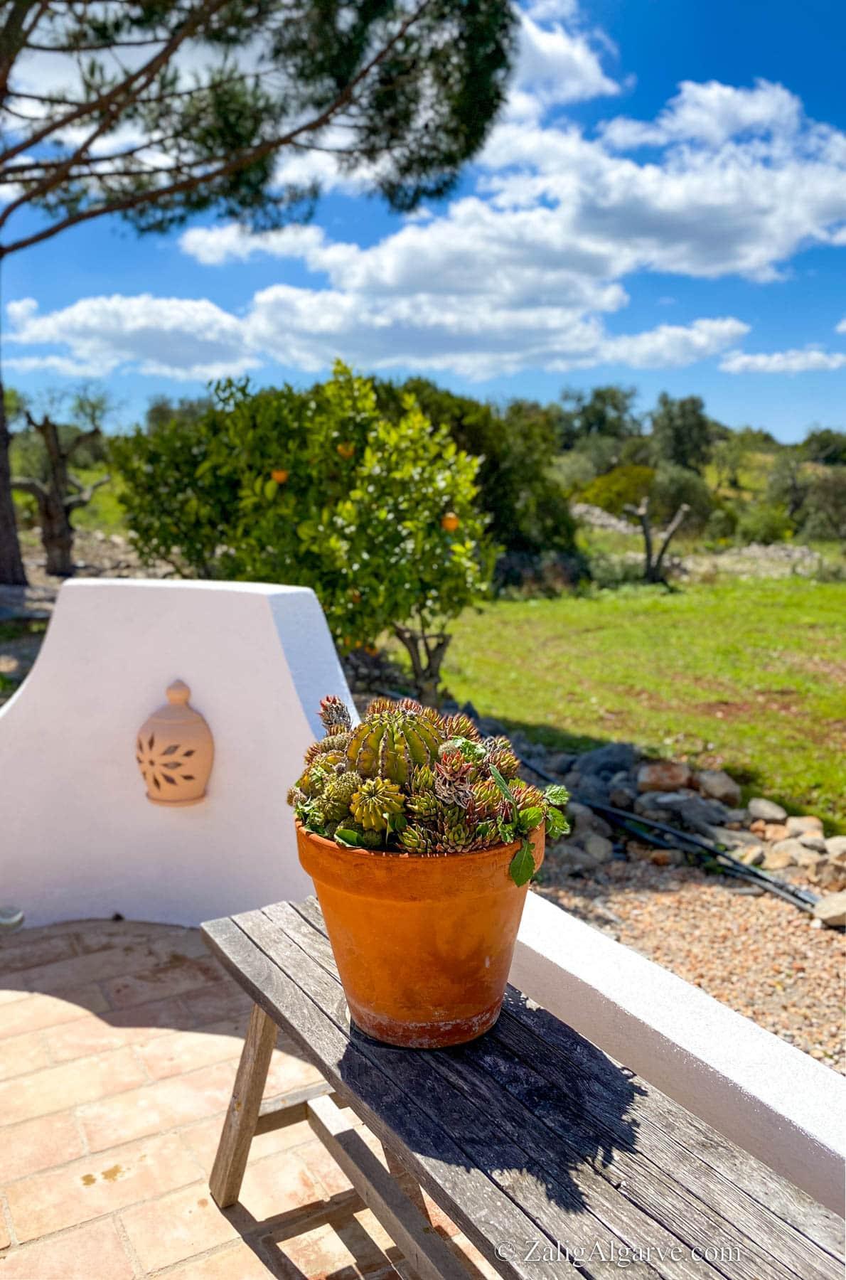 Casa La Paz - ZaligAlgarve.com