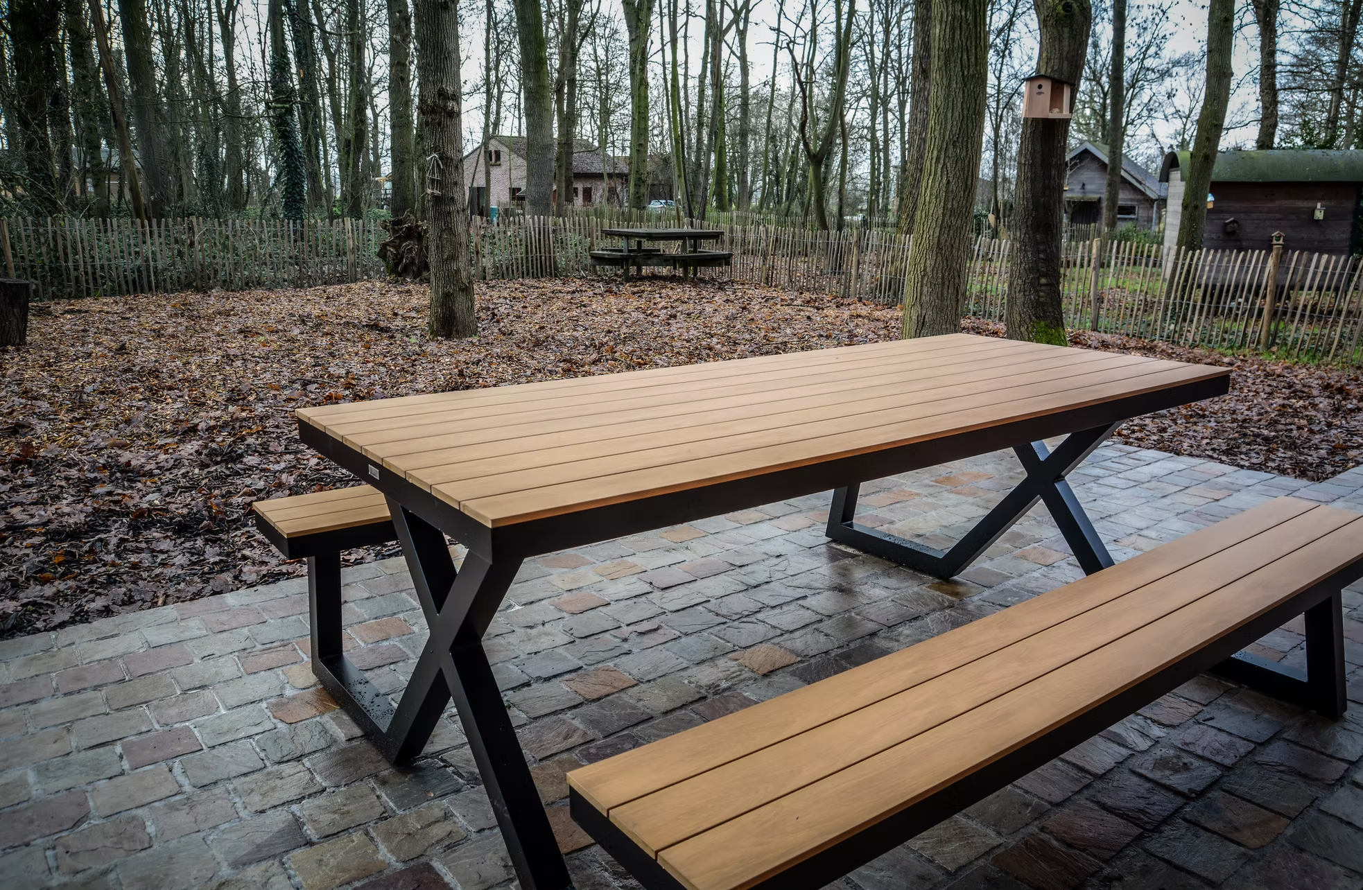 Terras