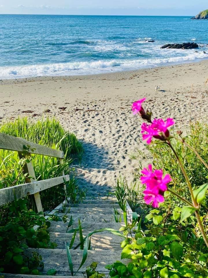 Portnadler beach steps - Coastal path