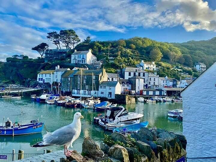 The Warren at Polperro