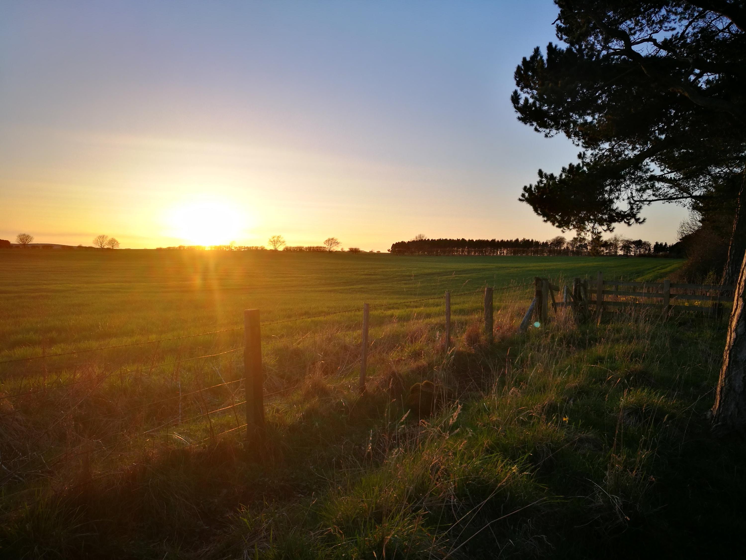fantastic sunsets